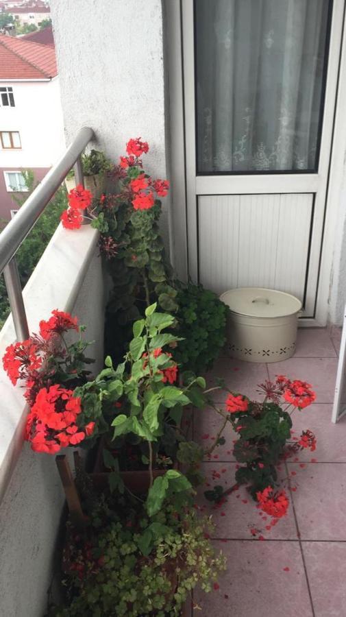 Single Room, Одноместная Комната В Доме, Chambre D'Une Personne, Habitacion Individual Κωνσταντινούπολη Εξωτερικό φωτογραφία